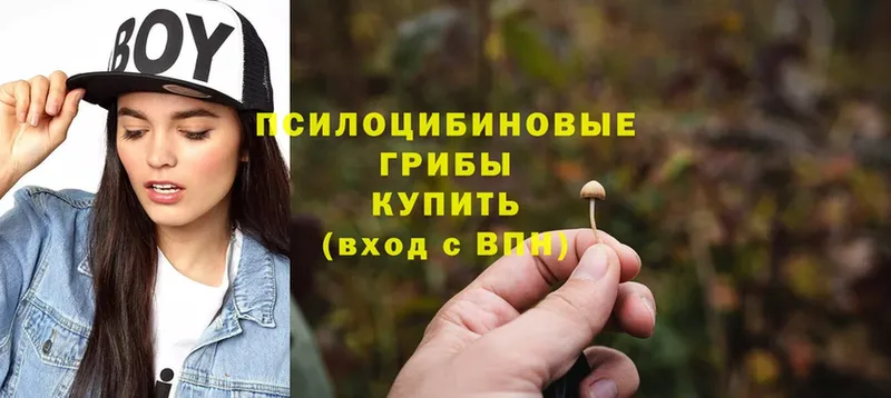 купить закладку  KRAKEN ONION  Галлюциногенные грибы GOLDEN TEACHER  Катайск 