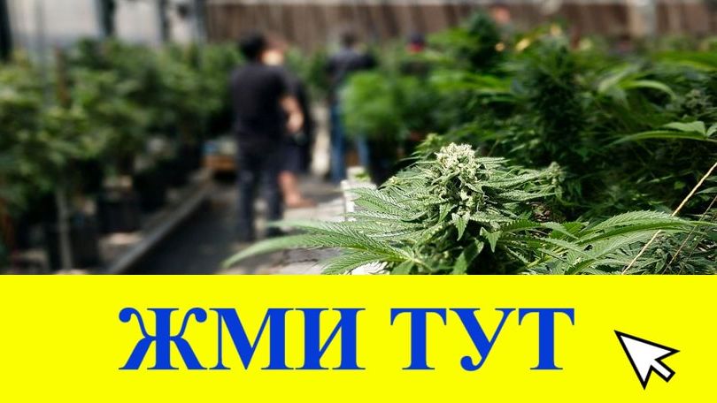 Купить наркотики в Катайске